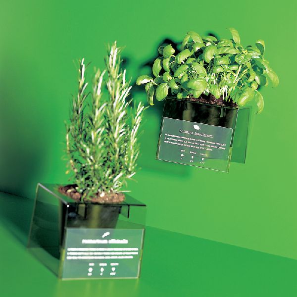 Plant Holder And  Vase
