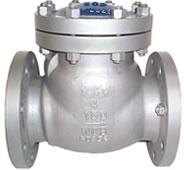 Check Valve