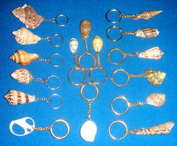 Seashell Handicrafts