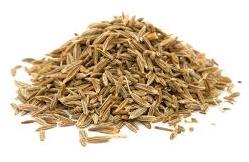 Caraway Oil