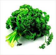 Parsley Seed Oil