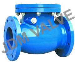 Swing Check Valve