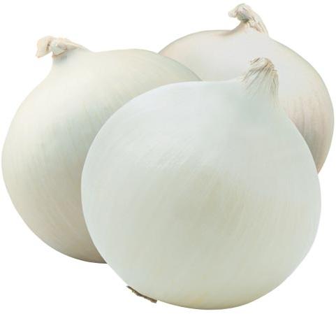 Dehydrated white onions