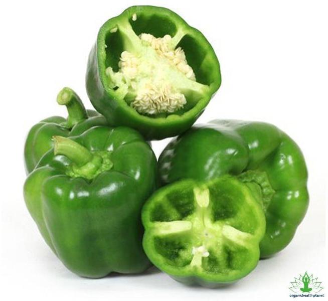 capsicum