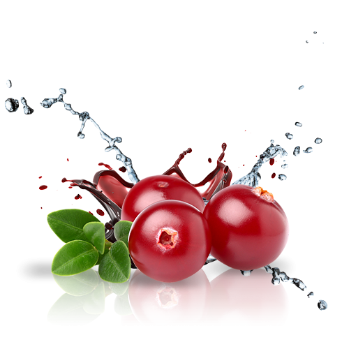 Cranberry at Best Price in Mumbai