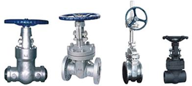 gate valve