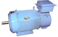 Three Phase AC Crane Duty Motors