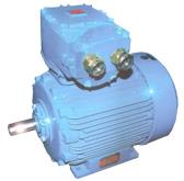 Three Phase AC Flame Proof Motors