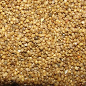 Millet Seeds