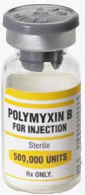 POLYMYXIN B INJECTION 500000 UNITS, Packaging Type : Plastic Bottle