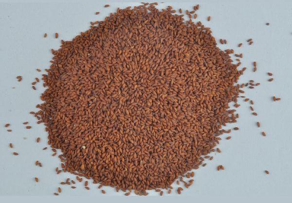 Granules Organic Asaliya Seeds, for Medicine, Packaging Type : Jute Bag, Plastic Bags