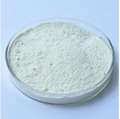 Camphor