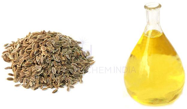 Dil Seed Oil