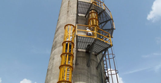 FRP Cage Ladders