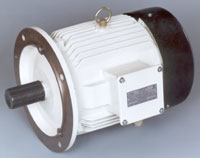 squirrel cage induction motors