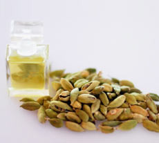 cardamom oil