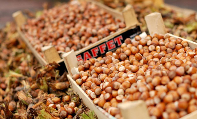 Turkish Dry Fruits