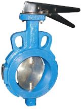 Worm Gear Operated Valve