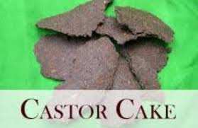 Castor Cake, for Animal Feed