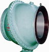 Swing Check Valve