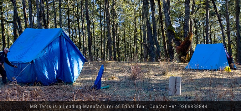 Tripal Tent
