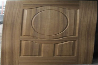 two Panel Sapele Door