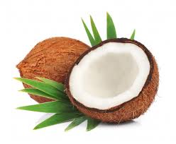 Fresh coconut, Feature : High nutritional value
