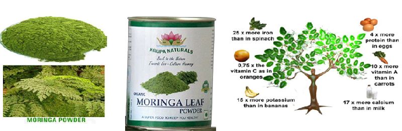 Organic Moringa Powder, for Medicines Products, Daily Use, Style : Dried