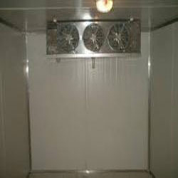 Freezer Cold Storage