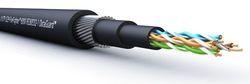 CAT 6 Armored Cables