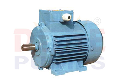 Induction Motor