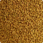 fenugreek seeds