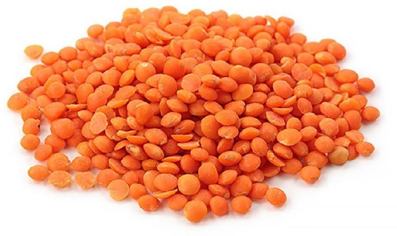 Regular masoor dal