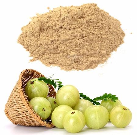 Amla Extract, Form : Powder