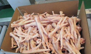 Frozen Chicken Feet, Packaging Type : Plastic Bags, Vacuum Pack