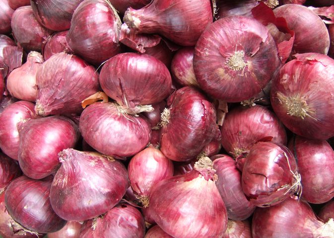 Fresh red onion, Shape : Round