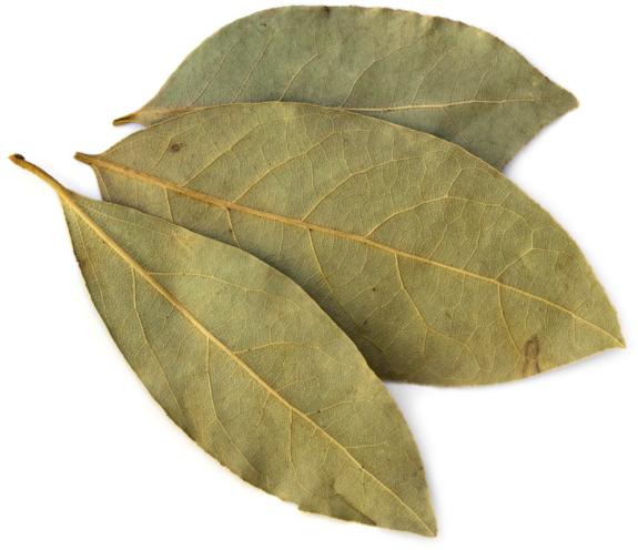 Bay Leaves