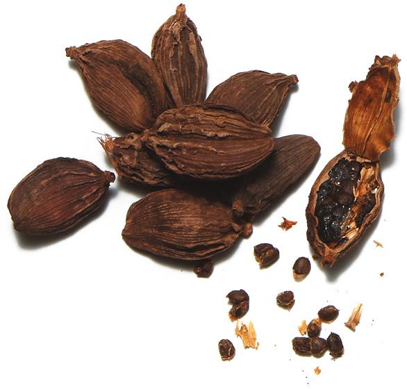 black cardamom