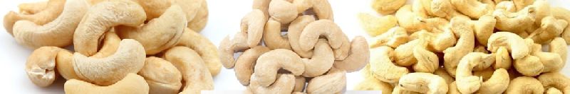 Cashew