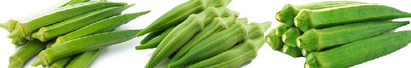 okra