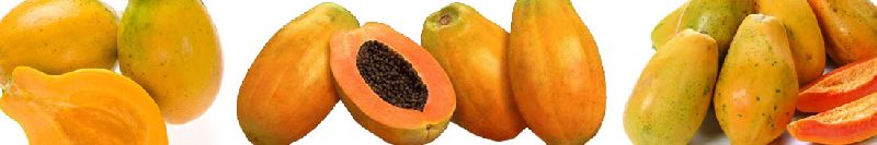 Papaya