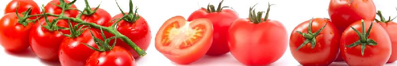Tomato, Packaging Type : 8 Kg Net Carton