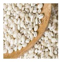 Pearl Barley Seeds