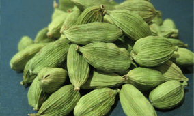 green cardamom