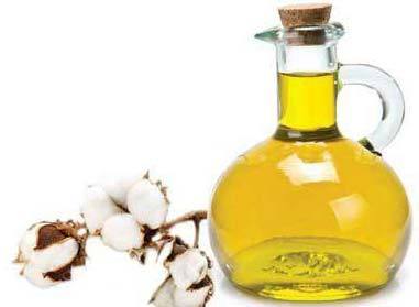 Cotton Seed Oil