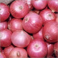 Common fresh onion, Size : Large, Medium, Small