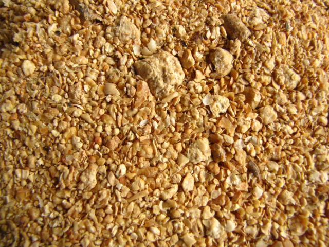 Animal Feed Soybean Meal