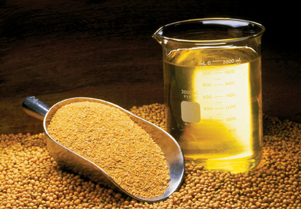 Top quality Expoxidized Soybean Oil