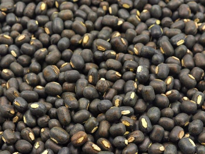 Organic Black Gram, for Seeds