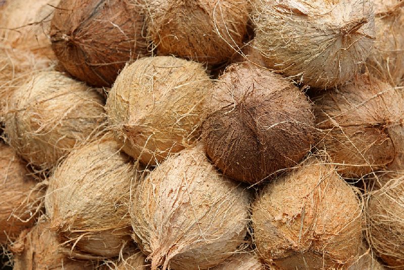 Organic Husked Coconut, Color : Brown